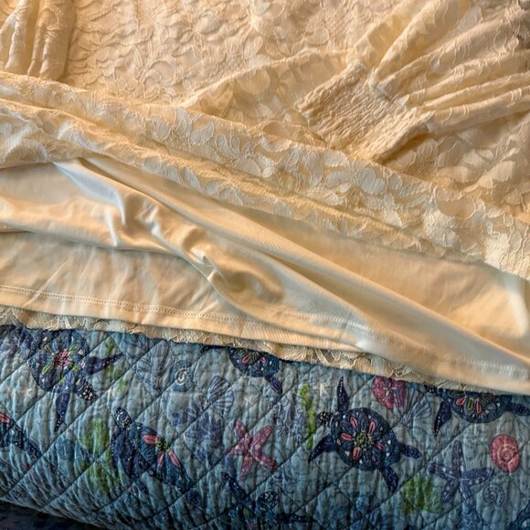 Torrid Stretch Lace And Mesh Crew Neck Long Sleeve Top Ivory - Picture 5 of 7